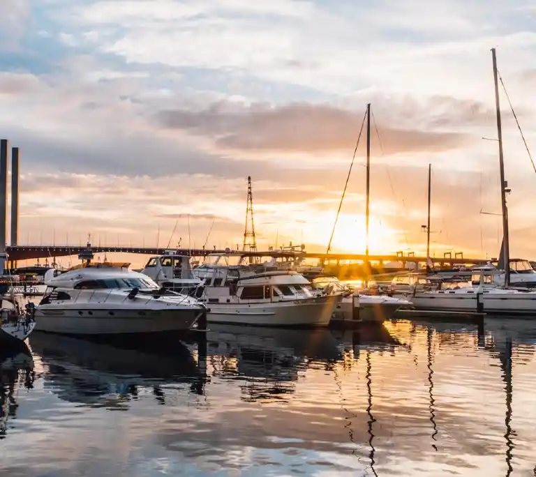 boats docked at a marina