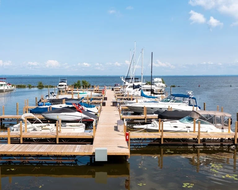 boats docked in a harbor