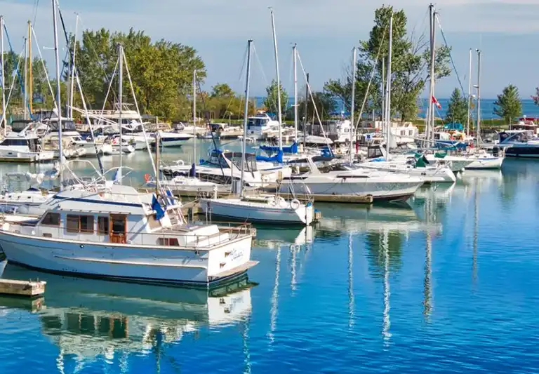 boats docked in a marina