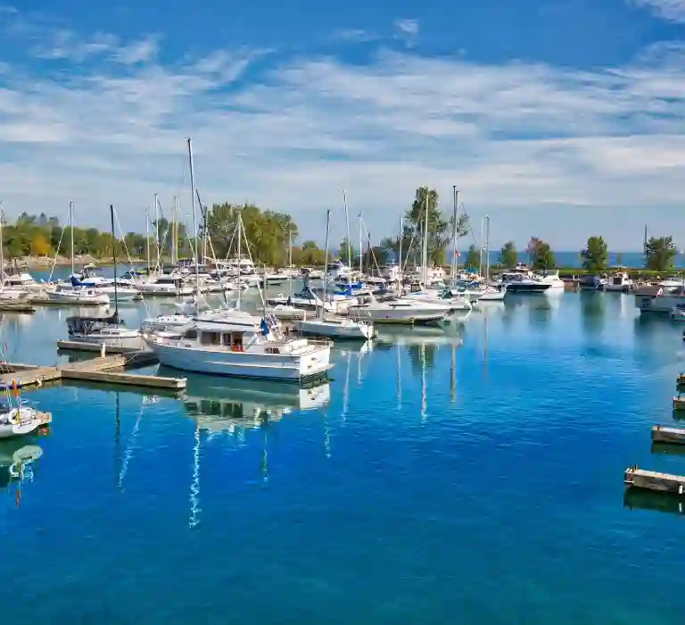 boats docked in a marina
