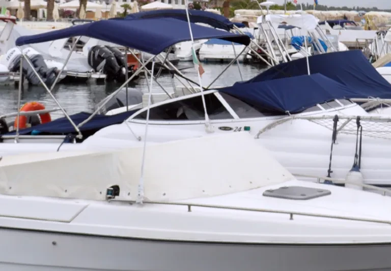 boats docked in a marina