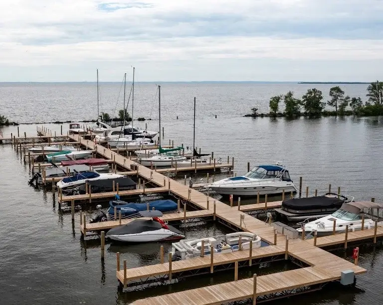 boats docked in a harbor