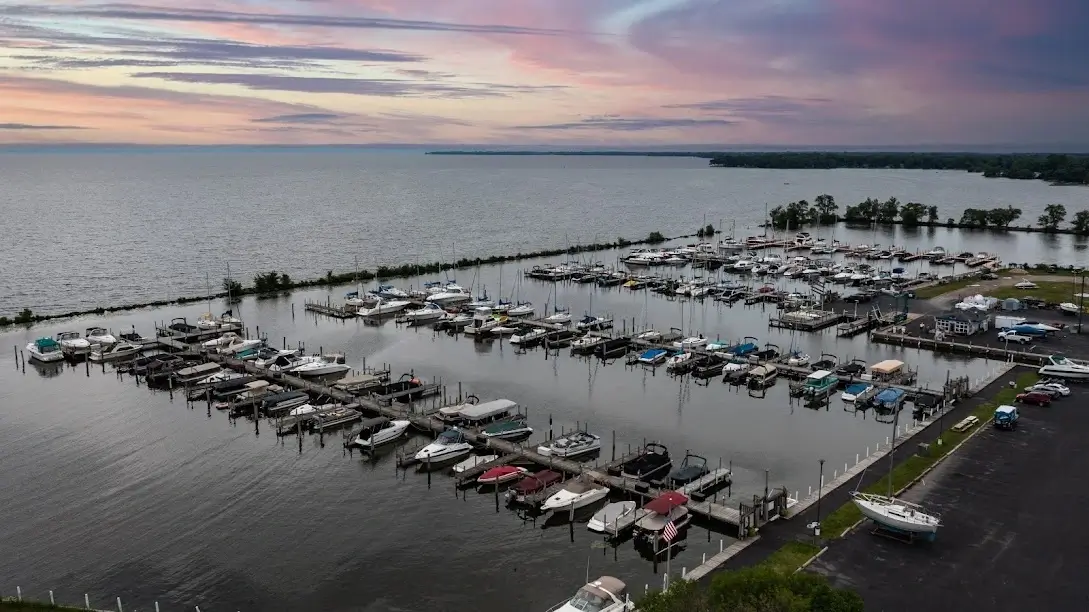 boats docked in a harbor