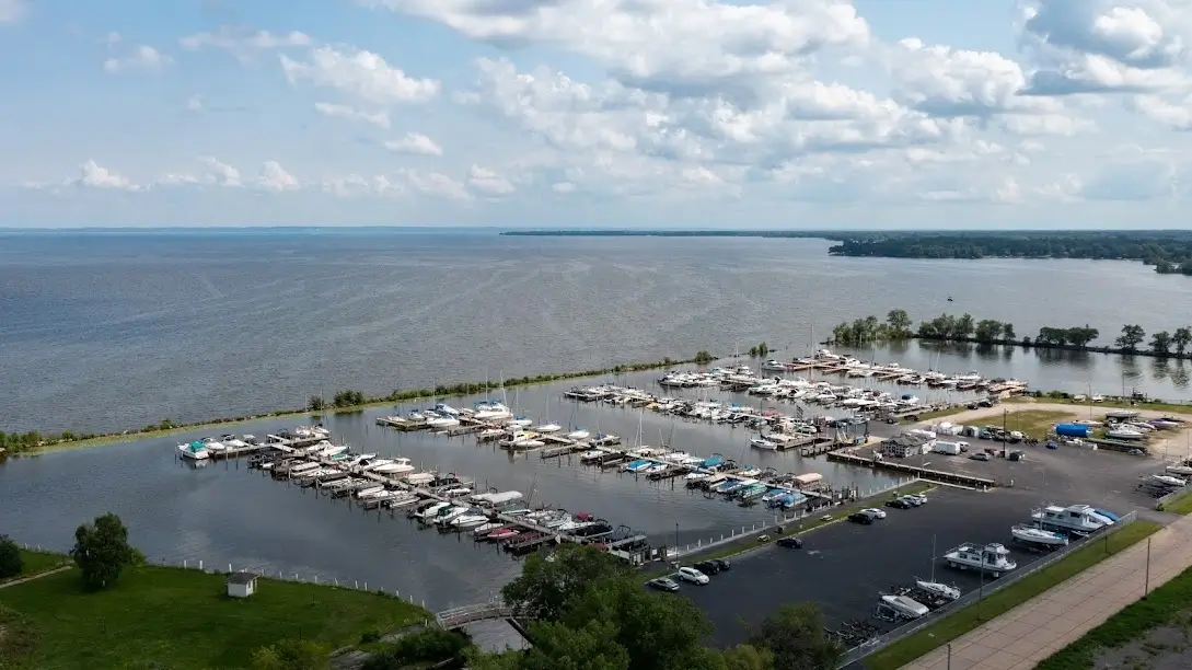 boats docked in a harbor